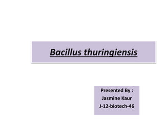 Bacillus thuringiensis
Presented By :
Jasmine Kaur
J-12-biotech-46
 