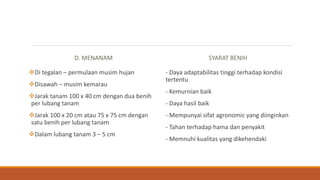 D. MENANAM
Di tegalan – permulaan musim hujan
Disawah – musim kemarau
Jarak tanam 100 x 40 cm dengan dua benih
per lubang tanam
Jarak 100 x 20 cm atau 75 x 75 cm dengan
satu benih per lubang tanam
Dalam lubang tanam 3 – 5 cm
SYARAT BENIH
- Daya adaptabilitas tinggi terhadap kondisi
tertentu
- Kemurnian baik
- Daya hasil baik
- Mempunyai sifat agronomic yang diinginkan
- Tahan terhadap hama dan penyakit
- Memnuhi kualitas yang dikehendaki
 
