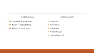 E. PEMUPUKAN
N (nitrogen) → untuk daun
P (fosfor) → untuk batang
K (kalium) → untuk buah
F. PEMELIHARAAN
Pengairan
Penyulaman
Penyiangan
Pembunbungan
Pengendalian H/P
 