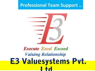 Professional Team Support ..




E3 Valuesystems Pvt.
 
