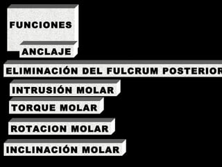 FUNCIONES INTRUSIÓN MOLAR TORQUE MOLAR ELIMINACIÓN DEL FULCRUM POSTERIOR ROTACION MOLAR ANCLAJE INCLINACIÓN MOLAR 