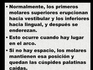 Normalmente, los primeros molares superiores erupcionan hacia vestibular y los inferiores hacia lingual, y después se enderezan.  Esto ocurre cuando hay lugar en el arco. Si no hay espacio, los molares mantienen esa posición y quedan las cúspides palatinas caídas.  