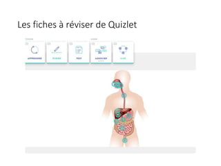 Les fiches à réviser de Quizlet
 