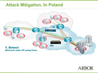 Attack Mitigation. In Poland
1. Detect
(Network wide: CP using Flow)
CP
TMS
 