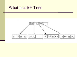 B+tree | PPT