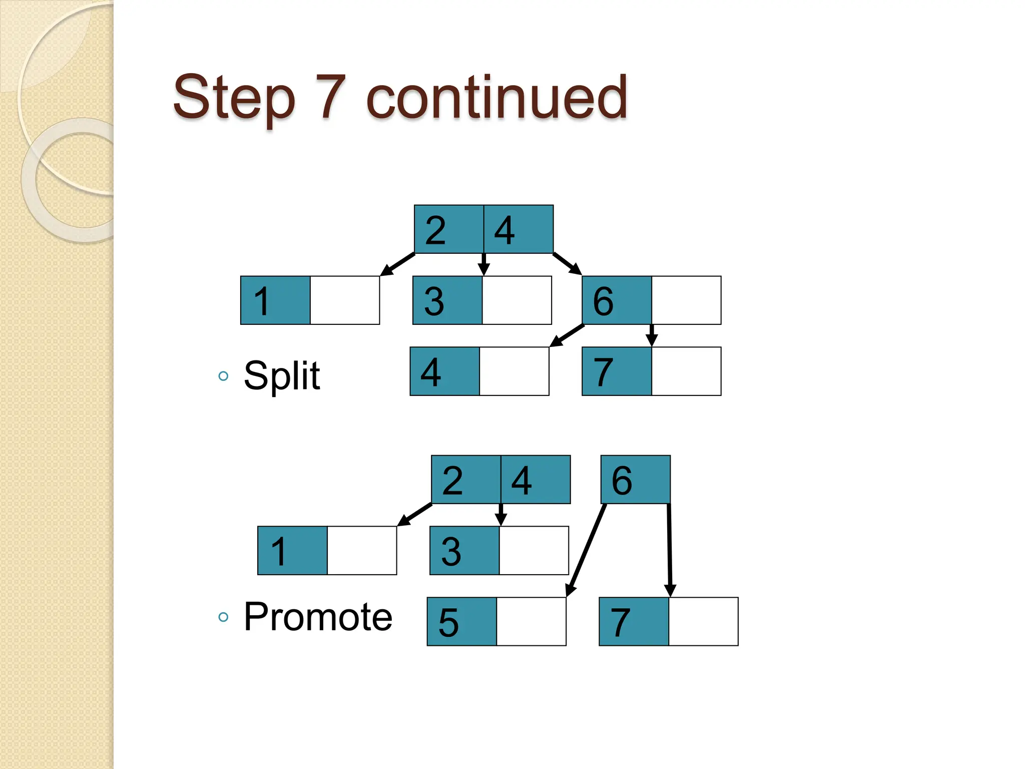 Step 7 continued
4
2
1 3 6
4 7
4
2
1 3
6
5 7
◦ Split
◦ Promote
 
