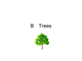 B  Trees 