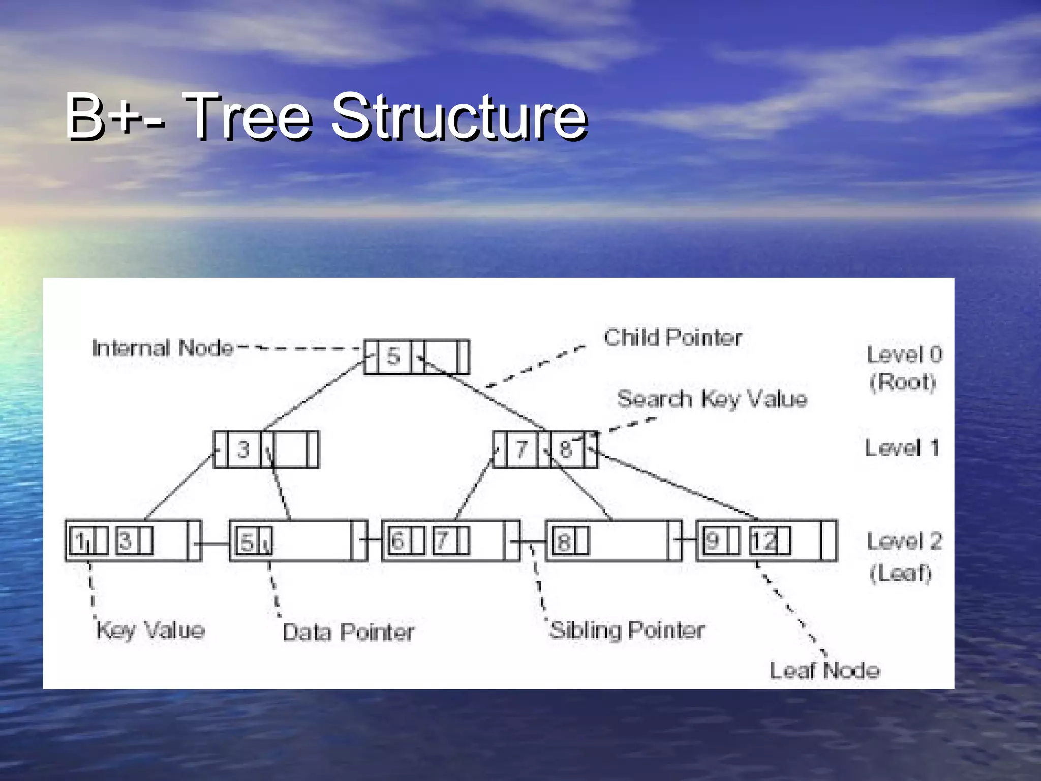 B+- Tree Structure

 