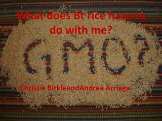 What does Bt rice have to
do with me?
Christie BirkleandAndrea Arriaga
 