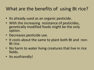 Bt rice presentation-final | PPTX