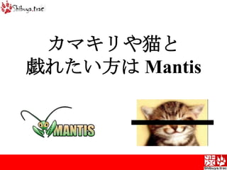 カマキリや猫と戯れたい方は Mantis