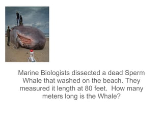 Marine Biologists dissected a dead Sperm
Whale that washed on the beach. They
measured it length at 80 feet. How many
meters long is the Whale?
 