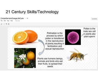 21 Century Skills/Technology
 