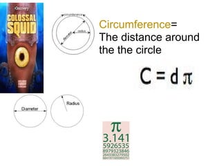 Circumference=
The distance around
the the circle
 