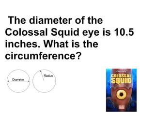 The diameter of the
Colossal Squid eye is 10.5
inches. What is the
circumference?
 