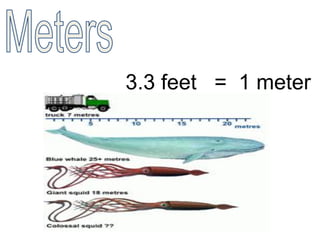3.3 feet = 1 meter
 