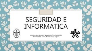SEGURIDAD E
INFORMATICA
Nombre del aprendiz: Alexandra Cruz Castrillón
Nombre del tutor: María Alcira Fagua
 