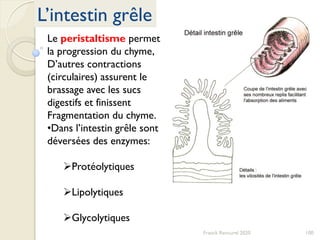 100Franck Rencurel 2020
L’intestin grêle
Le peristaltisme permet
la progression du chyme,
D’autres contractions
(circulaires) assurent le
brassage avec les sucs
digestifs et finissent
Fragmentation du chyme.
•Dans l’intestin grêle sont
déversées des enzymes:
Protéolytiques
Lipolytiques
Glycolytiques
 