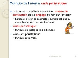 Motricité de l’intestin: onde péristaltique
 La contraction élémentaire est un anneau de
contraction qui se propage ou non sur l’intestin
◦ Lorsque l’intestin se contracte la lumière est plus ou
moins fermée sur 1 à 4 cm (homme)
 Onde péristaltique:
◦ Parcours de quelques cm à 0.5cm/sec
 Onde antipéristaltique
◦ Parcours rétrograde
101Franck Rencurel 2020
 