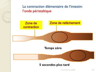 La contraction élémentaire de l’intestin:
l’onde péristaltique
Temps zéro
5 secondes plus tard
Zone de
contraction
Zone de relâchement
102Franck Rencurel 2020
 