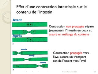 Effet d’une contraction intestinale sur le
contenu de l’intestin
Contraction non propagée sépare
(segmente) l’intestin en deux et
assure un mélange du contenu
Contraction propagée vers
l’aval assure un transport
net de l’amont vers l’aval
Avant
Après
106Franck Rencurel 2020
 