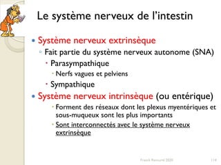 Le système nerveux de l’intestin
 Système nerveux extrinsèque
◦ Fait partie du système nerveux autonome (SNA)
 Parasympathique
 Nerfs vagues et pelviens
 Sympathique
 Système nerveux intrinsèque (ou entérique)
 Forment des réseaux dont les plexus myentériques et
sous-muqueux sont les plus importants
 Sont interconnectés avec le système nerveux
extrinsèque
114Franck Rencurel 2020
 