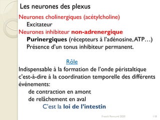Les neurones des plexus
Neurones cholinergiques (acétylcholine)
Excitateur
Neurones inhibiteur non-adrenergique
Purinergiques (récepteurs à l’adénosine,ATP…)
Présence d’un tonus inhibiteur permanent.
Rôle
Indispensable à la formation de l’onde péristaltique
c’est-à-dire à la coordination temporelle des différents
événements:
de contraction en amont
de relâchement en aval
C’est la loi de l’intestin
118Franck Rencurel 2020
 
