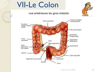 120Franck Rencurel 2020
VII-Le Colon
 