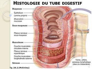 12Franck Rencurel 2020
 