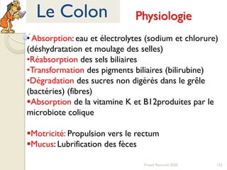 122Franck Rencurel 2020
Le Colon Physiologie
• Absorption: eau et électrolytes (sodium et chlorure)
(déshydratation et moulage des selles)
•Réabsorption des sels biliaires
•Transformation des pigments biliaires (bilirubine)
•Dégradation des sucres non digérés dans le grêle
(bactéries) (fibres)
Absorption de la vitamine K et B12produites par le
microbiote colique
Motricité: Propulsion vers le rectum
Mucus: Lubrification des fèces
 