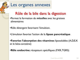 Les organes annexes
Franck Rencurel 2020 138
•Permet la formation de micelles avec les graisses
alimentaires
•Rôle détergent favorisant l’émulsion.
•L’émulsion favorise l’action de la lipase pancréatique
•Favorise l’absorption des vitamines liposolubles (A,D,E,K
et le béta-carotène)
•Rôle endocrine; récepteurs spécifiques (FXR,TGR5)
Rôle de la bile dans la digestion
 