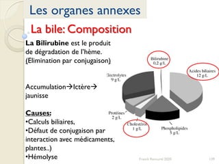 139Franck Rencurel 2020
Les organes annexes
La bile: Composition
La Bilirubine est le produit
de dégradation de l’hème.
(Elimination par conjugaison)
AccumulationIctère
jaunisse
Causes:
•Calculs biliaires,
•Défaut de conjugaison par
interaction avec médicaments,
plantes..)
•Hémolyse
 