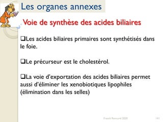 141Franck Rencurel 2020
Les organes annexes
Voie de synthèse des acides biliaires
Les acides biliaires primaires sont synthétisés dans
le foie.
Le précurseur est le cholestérol.
La voie d’exportation des acides biliaires permet
aussi d’éliminer les xenobiotiques lipophiles
(élimination dans les selles)
 