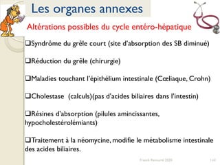 Altérations possibles du cycle entéro-hépatique
Syndrôme du grêle court (site d’absorption des SB diminué)
Réduction du grêle (chirurgie)
Maladies touchant l’épithélium intestinale (Cœliaque, Crohn)
Cholestase (calculs)(pas d’acides biliaires dans l’intestin)
Résines d’absorption (pilules amincissantes,
hypocholestérolémiants)
Traitement à la néomycine, modifie le métabolisme intestinale
des acides biliaires.
146
Les organes annexes
Franck Rencurel 2020
 
