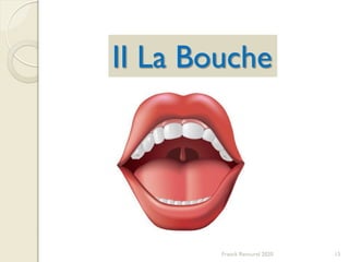 Franck Rencurel 2020 15
II La Bouche
 