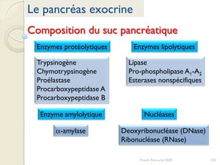 154Franck Rencurel 2020
Le pancréas exocrine
Composition du suc pancréatique
Trypsinogène
Chymotrypsinogène
Proélastase
Procarboxypeptidase A
Procarboxypeptidase B
a-amylase
Lipase
Pro-phospholipase A1-A2
Esterases nonspécifiques
Deoxyribonucléase (DNase)
Ribonucléase (RNase)
Enzymes protéolytiques Enzymes lipolytiques
Enzyme amylolytique Nucléases
 