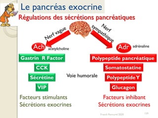 CCK
Sécrétine
VIP
Gastrin R Factor
Facteurs stimulants
Sécrétions exocrines
Voie humorale
Polypeptide pancréatique
PolypeptideY
Somatostatine
Glucagon
Facteurs inhibant
Sécrétions exocrines
Ach Adr
159
Le pancréas exocrine
Régulations des sécrétions pancréatiques
Franck Rencurel 2020
adrénaline
acetylcholine
 