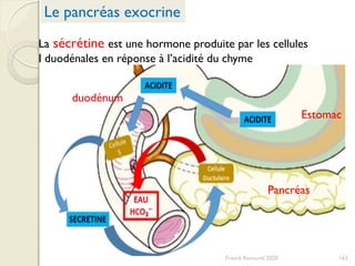 163
Le pancréas exocrine
La sécrétine est une hormone produite par les cellules
I duodénales en réponse à l’acidité du chyme
Estomac
Pancréas
duodénum
Franck Rencurel 2020
 