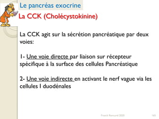 Franck Rencurel 2020 165
Le pancréas exocrine
La CCK (Cholécystokinine)
La CCK agit sur la sécrétion pancréatique par deux
voies:
1- Une voie directe par liaison sur récepteur
spécifique à la surface des cellules Pancréatique
2- Une voie indirecte en activant le nerf vague via les
cellules I duodénales
 