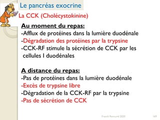 Au moment du repas:
-Afflux de protéines dans la lumière duodénale
-Dégradation des protéines par la trypsine
-CCK-RF stimule la sécrétion de CCK par les
cellules I duodénales
A distance du repas:
-Pas de protéines dans la lumière duodénale
-Excès de trypsine libre
-Dégradation de la CCK-RF par la trypsine
-Pas de sécrétion de CCK
169Franck Rencurel 2020
Le pancréas exocrine
La CCK (Cholécystokinine)
 