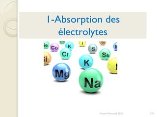 Franck Rencurel 2020 176
1-Absorption des
électrolytes
 
