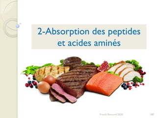 180Franck Rencurel 2020
2-Absorption des peptides
et acides aminés
 