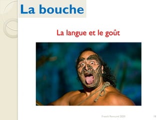 La langue et le goût
Franck Rencurel 2020 18
La bouche
 