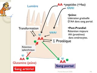 185Franck Rencurel 2020
AA +peptides (<4aa)
AA
S Protéique
Transformation
AA
Sang portal
AA
Sang artériel
Jeûne:
Libération graduelle
D’AA dans sang portal.
Post-Prandial:
Rétention majeure
AA (protéines)
dans entérocytes.
Glutamine (jeûne)
Lumière
Rétention
splanchnique
 