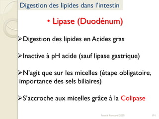 Digestion des lipides dans l’intestin
• Lipase (Duodénum)
Digestion des lipides en Acides gras
Inactive à pH acide (sauf lipase gastrique)
N’agit que sur les micelles (étape obligatoire,
importance des sels biliaires)
S’accroche aux micelles grâce à la Colipase
191Franck Rencurel 2020
 
