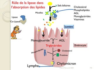 Sels biliaires
Micelles
Lipase
Co-Lipase
Monoglycéride AGL
Triglycérides
Cholestérol
Protéines
Chylomicron
Rôle de la lipase dans
l’absorption des lipides
Lymphe
Cholestérol
Phospholipides
AGL
Monoglycérides
Vitamines
192Franck Rencurel 2020
Lumière
Entérocyte
 