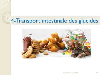 196
4-Transport intestinale des glucides
Franck Rencurel 2020
 