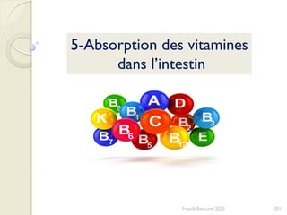 201Franck Rencurel 2020
5-Absorption des vitamines
dans l’intestin
 