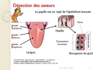 21Franck Rencurel 2020
Laurent Brondel, Agnès Jacquin, Sophie Meillon, Luc Pénicaud
Le goût : physiologie, rôles et dysfonctionnements ☆
Nutrition Clinique et Métabolisme, Volume 27, Issue 3, 2013, 123–133
Détection des saveurs
Connections
nerveuses
Pores
Cavitébuccale
La papille est un repli de l’épithélium buccale
 