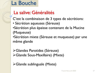 27Franck Rencurel 2020
La Bouche
La salive: Généralités
C’est la combinaison de 3 types de sécrétions:
• Sécrétion aqueuses (Séreuse)
•Sécrétion plus épaisse contenant de la Mucine
(Muqueuse)
•Sécrétion mixte (Séreuse et muqueuse) par une
même glande
Glandes Parotides (Séreuse)
Glande Sous-Maxillaire) (Mixte)
Glande sublinguale (Mixte)
 
